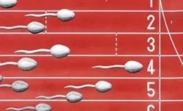 atp项目传奇球星韩国行姚明艾佛森奥尼尔名人堂视频